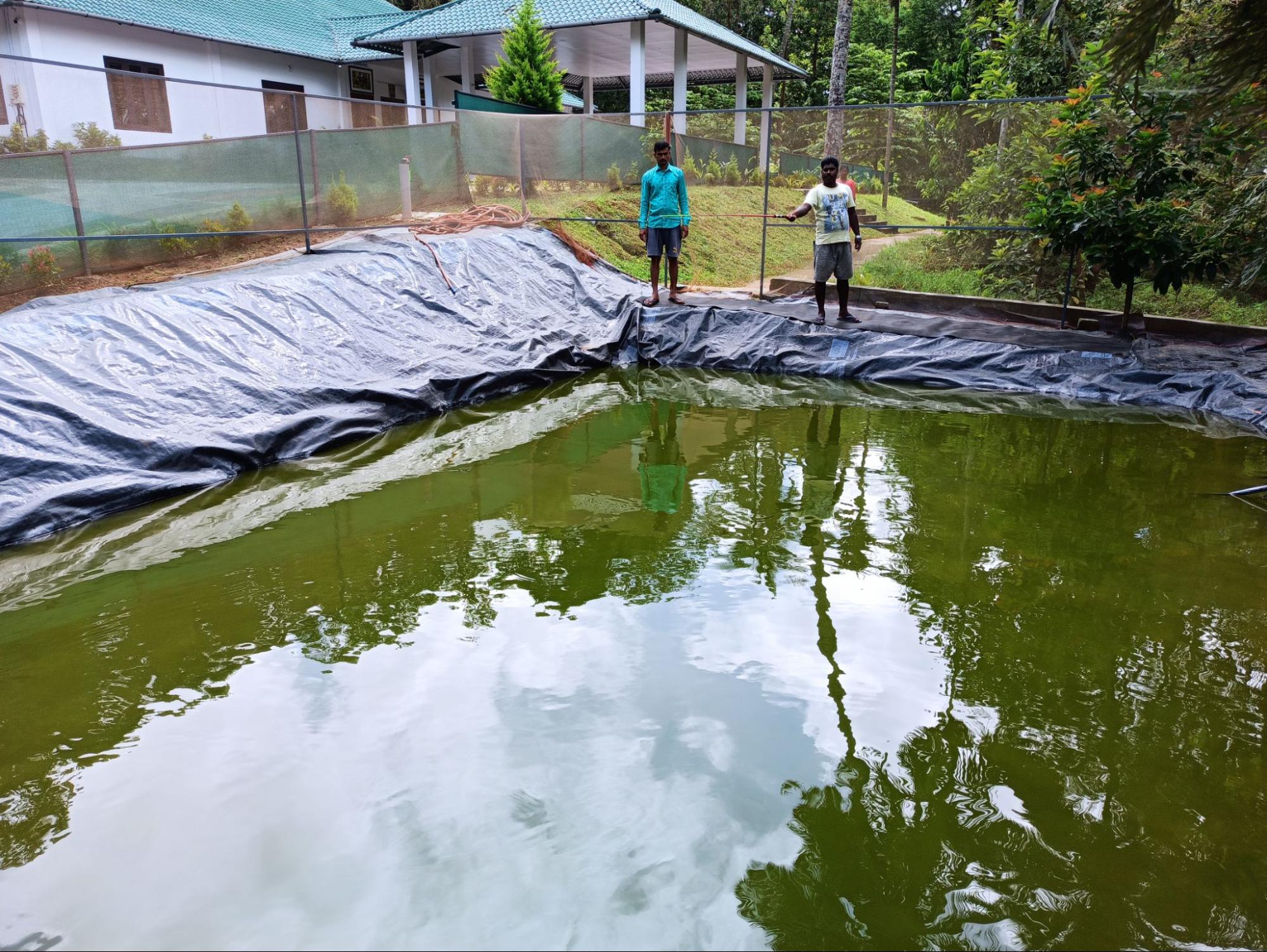 Fish pond